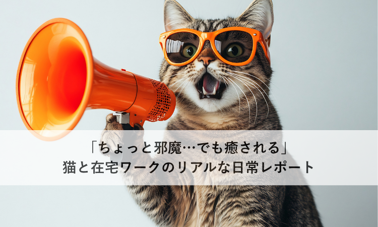 「ちょっと邪魔…でも癒される」猫と在宅ワークのリアルな日常レポート