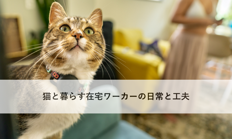 猫と暮らす在宅ワーカーの日常と工夫