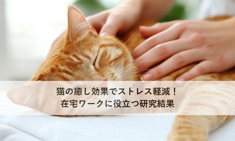 猫の癒し効果でストレス軽減！在宅ワークに役立つ研究結果