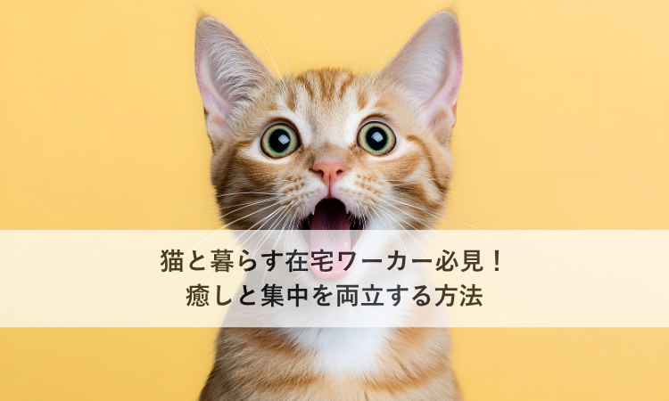 猫と暮らす在宅ワーカー必見！癒しと集中を両立する方法