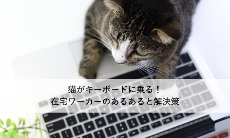猫がキーボードに乗る！在宅ワーカーのあるあると解決策