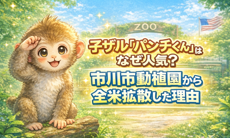 子ザル「パンチくん」はなぜ人気？市川市動植物園から全米拡散した理由