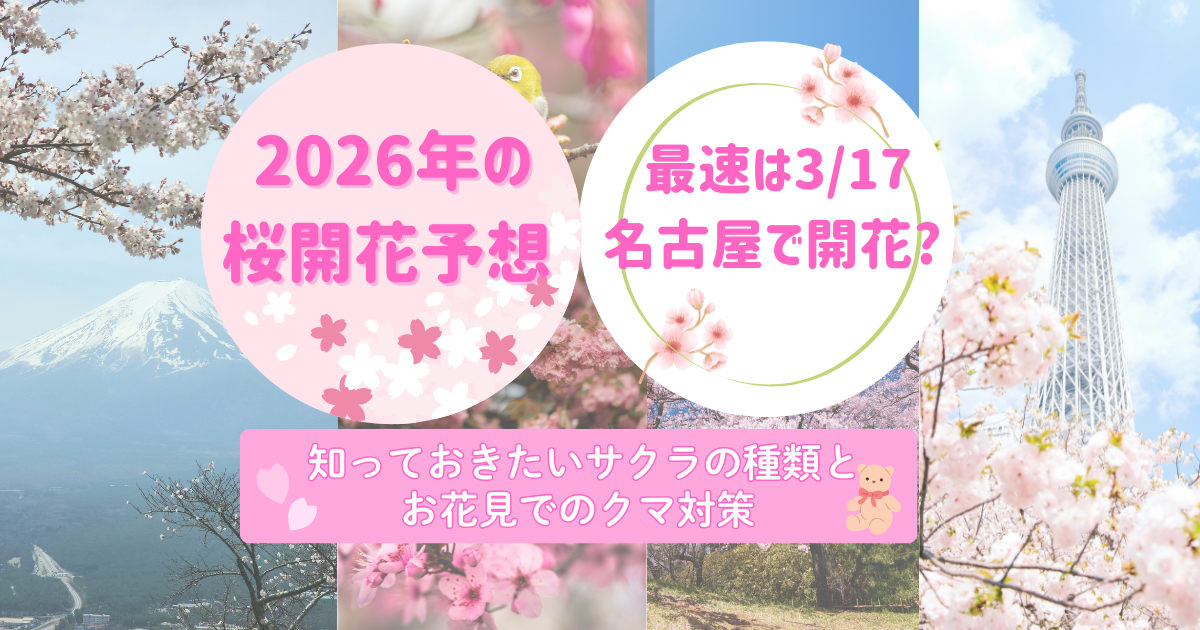 2026年の桜開花予想 最速は3/17名古屋で開花? 知っておきたいサクラの種類とお花見でのクマ対策
