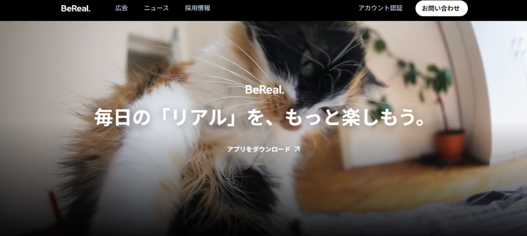BeReal公式サイトのトップページ。猫の写真を背景に、「毎日の『リアル』を、もっと楽しもう。」というキャッチコピーとアプリのダウンロード案内が表示されている。