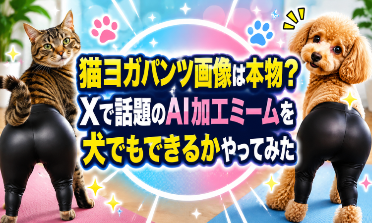 猫ヨガパンツ画像は本物？Xで話題のAI加工ミームを犬でもできるかやってみた