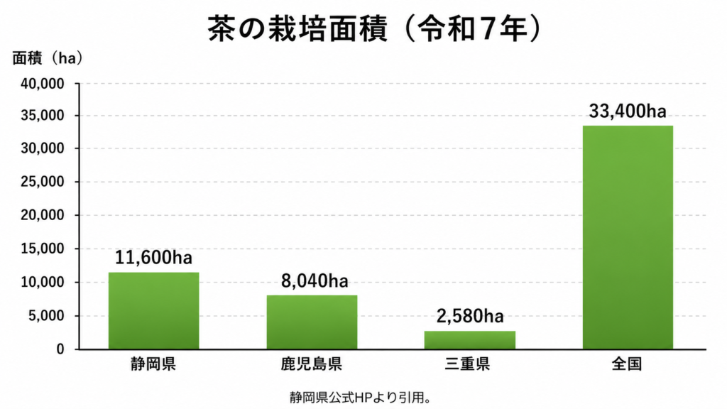 令和7年の茶栽培面積を示した棒グラフ。静岡県は11,600ha、鹿児島県は8,040ha、三重県は2,580ha、全国は33,400haと表示されている。